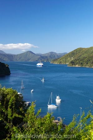 boat;boats;ferries;ferry;Marlborough;Marlborough-Sounds;moor;mooring;moorings;New-Zealand;ocean;oceans;Picton;picton-harbor;picton-harbour;Queen-Charlotte-Sound;sea;ship;shipping;ships;South-Island;transport;transportation;travel;vessel;vessels;water