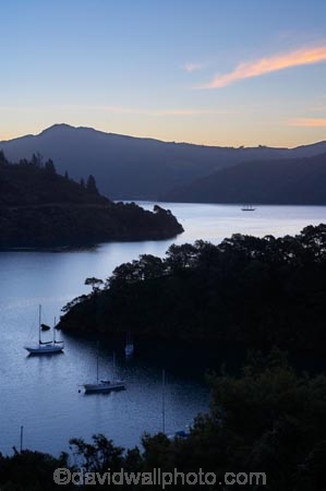 boats;dusk;evening;Grove-Arm;Marlborough;Marlborough-Sounds;moor;mooring;moorings;New-Zealand;Ngakuta-Bay;Queen-Charlotte-Sound;South-Island;twilight
