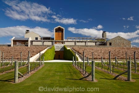 agricultural;agriculture;Blenheim;country;countryside;crop;crops;cultivation;farm;farming;farmland;farms;field;fields;grape;grapes;grapevine;horticulture;Marlborough;N.Z.;New-Zealand;NZ;row;rows;rural;S.I.;SI;South-Is;South-Island;Sth-Is;vine;vines;vineyard;vineyards;vintage;wine;wineries;winery;wines;Wither-Hills;Wither-Hills-Vineyard;Wither-Hills-Winery