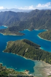 aerial;aerials;bay;bays;beautiful;beauty;bush;coast;coastal;coastline;coastlines;coasts;cove;coves;endemic;forest;forests;green;inlet;inlets;marlborough;Marlborough-Sounds;native;native-bush;natives;natural;nature;new-zealand;ngawhakawhiti-bay;nz;scene;scenic;sea;shore;shoreline;shorelines;shores;sound;sounds;south-island;te-mako-bay;tennyson-inlet;tree;trees;tuna-bay;water;woods;worlds-end;worlds-end