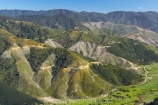 aerial;aerials;exotic-forest;exotic-forestry;exotic-forests;forest;forestry;forests;korimiko;marlborough;n.z.;New-Zealand;nz;pine-tree;pine-trees;South-Island;timber;tree;trees;trunk;trunks;wood;woods