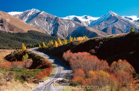 alpine;arthur-pass;arthurs-pass;color;colors;colour;colours;mountain;mountains;orange;red;roads;snow;transport;travel;tree;trees;yellow