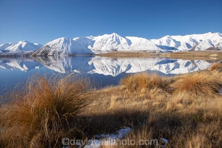 calm;Canterbury;Canterbury-Foothills;cold;Hakatere-Conservation-Park;lake;Lake-Heron;lakes;Mid-Canterbury;Mount-Catherine;Mount-Sugarloaf;Mt-Catherine;Mt-Sugarloaf;Mt.-Catherine;Mt.-Sugarloaf;N.Z.;New-Zealand;NZ;Palmer-Range;placid;quiet;reflection;reflections;S.I.;season;seasonal;seasons;serene;SI;smooth;snow;snowy;South-Is;South-Island;still;Taylor-Range;tranquil;tussock;tussocks;water;white;winter;wintery