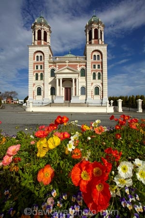 Basilica;Basilica-of-the-Sacred-Heart;Basilicas;bell-tower;bell-towers;building;buildings;Canterbury;cathedral;cathedrals;christian;christianity;church;churches;colorful;colour;colourful;colours;faith;floral;flower;flowers;heritage;historic;historic-building;historic-buildings;historical;historical-building;historical-buildings;history;N.Z.;New-Zealand;NZ;old;Parkside;place-of-worship;places-of-worship;poppies;poppy;religion;religions;religious;S.I.;Sacred-Heart-Basilica;Sacred-Heart-Catholic-Basilica;season;seasonal;seasons;SI;South-Canterbury;South-Is;South-Is.;South-Island;spire;spires;spring;spring-flowers;spring-time;spring_time;springtime;State-Highway-1;State-Highway-one;steeple;steeples;Sth-Is;Timaru;tradition;traditional;Watlington