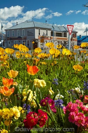 ale-house;ale-houses;Aotearoa;bar;bars;bloom;blooming;blooms;brown;Brown-Pub;building;buildings;Canterbury;floral;flower;flower-bed;flower-beds;flower-garden;flower-gardens;flowers;free-house;free-houses;garden;gardens;heritage;historic;historic-building;historic-buildings;historic-hotel;historic-pub;historical;historical-building;historical-buildings;history;hotel;hotels;Methven;Mid-Canterbury;N.Z.;New-Zealand;NZ;old;pub;public-flower-garden;public-garden;public-gardens;public-house;public-houses;pubs;saloon;saloons;season;seasonal;seasons;South-Is;South-Island;spring;spring-time;spring_time;springtime;Sth-Is;tavern;taverns;The-Brown-Pub