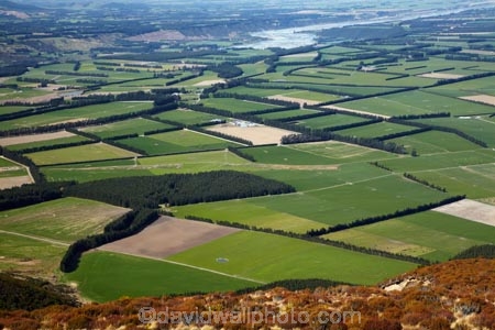 agricultural;agriculture;Aotearoa;Canterbury;Canterbury-Plains;country;countryside;crop;crops;farm;farming;farmland;farms;field;fields;horticulture;meadow;meadows;Mid-Canterbury;Mount-Hutt;Mt-Hutt;Mt.-Hutt;N.Z.;New-Zealand;NZ;paddock;paddocks;pasture;pastures;Rakaia-River;rural;South-Is;South-Island;Sth-Is;view;wind-break;wind-breaks;windbreak;windbreaks