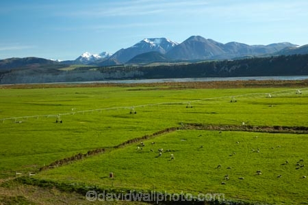 agicultural-machine;agricultural;agriculture;Aotearoa;automatic-irrigation;Canterbury;centre-pivot-irrigation;country;countryside;cultivation;farm;farm-equipment;farm-implements;farm-machinery;farming;farmland;farms;field;fields;grow;growing;irrigate;irrigated-land;irrigation;irrigation-equipment;irrigation-scheme;irrigator;livestock;machine;machines;meadow;meadows;Mid-Canterbury;mobile-irrigation;mountain;mountains;N.Z.;New-Zealand;NZ;paddock;paddocks;pasture;pastures;pivoting-boom-irrigation;rotary-irrigation;rural;sheep;South-Is;South-Island;Southern-Alps;spray;sprays;sprinkers;sprinkler;Sth-Is;stock;Upper-Rakaia-River;water