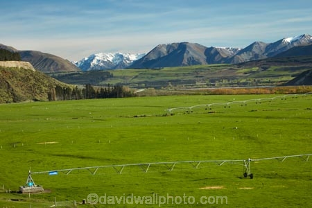 agicultural-machine;agricultural;agriculture;Aotearoa;automatic-irrigation;Canterbury;centre-pivot-irrigation;country;countryside;cultivation;farm;farm-equipment;farm-implements;farm-machinery;farming;farmland;farms;field;fields;grow;growing;irrigate;irrigated-land;irrigation;irrigation-equipment;irrigation-scheme;irrigator;machine;machines;meadow;meadows;Mid-Canterbury;mobile-irrigation;mountain;mountains;N.Z.;New-Zealand;NZ;paddock;paddocks;pasture;pastures;pivoting-boom-irrigation;rotary-irrigation;rural;South-Is;South-Island;Southern-Alps;spray;sprays;sprinkers;sprinkler;Sth-Is;Upper-Rakaia-River;water