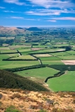 agriculture;crop;crops;farm;farming;farmland;farms;fence;fenceline;fences;field;fields;flat;flats;grass;green;hedgerow;hedgerows;lamb;lambs;meadow;meadows;paddock;paddocks;pasture;pastures;plains;rural;sheep;spring