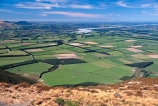 agriculture;crop;crops;farm;farming;farmland;farms;fence;fenceline;fences;field;fields;flat;flats;grass;green;hedgerow;hedgerows;lamb;lambs;meadow;meadows;mountain;mountains;paddock;paddocks;pasture;pastures;plains;range;rural;sheep;spring;wind-break;windbreak;windbreaks