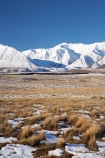 agricultural;agriculture;Canterbury;cold;country;countryside;farm;farming;farmland;farms;field;fields;Hakatere-Conservation-Park;meadow;meadows;Mid-Canterbury;N.Z.;New-Zealand;NZ;paddock;paddocks;pasture;pastures;rural;S.I.;season;seasonal;seasons;SI;snow;snowy;South-Is;South-Island;Taylor-Range;tussock;tussocks;white;winter;wintery