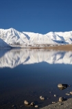 calm;Canterbury;Canterbury-Foothills;cold;Hakatere-Conservation-Park;lake;Lake-Heron;lakes;Mid-Canterbury;Mount-Catherine;Mt-Catherine;Mt.-Catherine;N.Z.;New-Zealand;NZ;placid;quiet;reflection;reflections;S.I.;season;seasonal;seasons;serene;SI;smooth;snow;snowy;South-Is;South-Island;still;Taylor-Range;tranquil;water;white;winter;wintery