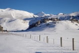 agricultural;agriculture;alp;alpine;alps;altitude;Arthurs-Pass-Road;Canterbury;Castle-Hill;cold;country;countryside;farm;farming;farmland;farms;fence;fence-line;fence-lines;fence_line;fence_lines;fenceline;fencelines;fences;field;fields;geological;geology;Kura-Tawhiti-Conservation-Area;limestone-tors;meadow;meadows;mount;mountain;mountain-peak;mountainous;mountains;mt;mt.;N.Z.;New-Zealand;NZ;paddock;paddocks;pasture;pastures;peak;peaks;range;ranges;rock;rock-formation;rock-formations;rock-outcrop;rock-outcrops;rock-tor;rock-torr;rock-torrs;rock-tors;rocks;rural;S.I.;season;seasonal;seasons;SI;snow;snow-capped;snow_capped;snowcapped;snowy;South-Is;South-Island;State-Highway-73;State-Highway-Seventy-Three;stone;summit;summits;white;winter;wintery