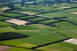 agricultural;agriculture;Aotearoa;Canterbury;Canterbury-Plains;country;countryside;crop;crops;farm;farming;farmland;farms;field;fields;horticulture;meadow;meadows;Mount-Hutt;Mt-Hutt;Mt.-Hutt;N.Z.;New-Zealand;NZ;paddock;paddocks;pasture;pastures;rural;South-Is;South-Island;Sth-Is;wind-break;wind-breaks;windbreak;windbreaks
