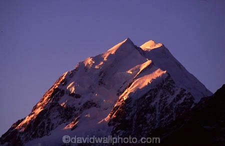 snow;southern-alps;alpenglow;colour;color;colours;colors;orange;sunset;dusk;main-divide;peak;highest
