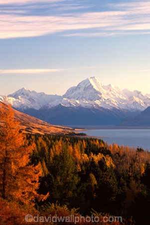 mountain;peak;mount-cook;color;colours;colors;trees;forest;snow;snow-covered;snow_covered;orange;autumnal;lake;lakes;slope;scenic;scenary;tourism;natural;spectacular;beauty;highest;mountains;southern-alps;main-divide