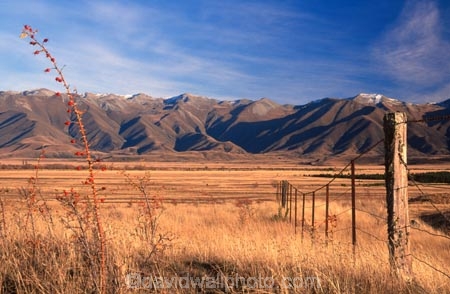 golden;mountains;range;grass;farm;farming;farms;paddock;paddocks;field;fields;pasture;pastures;meadow;meadows;agriculture;rural