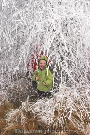 Activity;Amusement;beautiful;birch;boy;boys;brother;brothers;child;children;cold;Coldness;Color;Colour;Daytime;freeze;freezing;freezing-fog;frost;Frosted;frosty;Fun;Game;Games;girl;girls;green;hoar-frost;Hoarfrost;ice;icy;lake-ruataniwha;Landscape;Landscapes;little;Mackenzie-Country;natural;Nature;new-zealand;Outdoor;Outdoors;Outside;People;person;Persons;phenomena;Play;Playing;Recreation;red;Scenic;Scenics;Season;Seasons;silver-birch;sister;sisters;south-island;spectacular;stunning;toddler;toddlers;tree;trees;Twizel;Waitaki-District;White;winter;Wintertime;wintery