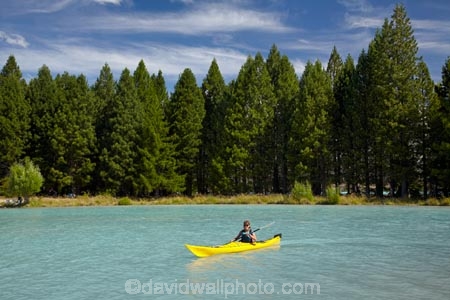 adventure;adventure-tourism;boat;boats;canoe;canoeing;canoes;Canterbury;glacial-flour;kayak;kayaker;kayakers;kayaking;kayaks;lake;Lake-Ruataniwha;lakes;Mackenzie-Basin;Mackenzie-Country;Mackenzie-District;N.Z.;New-Zealand;North-Otago;NZ;Otago;paddle;paddler;paddlers;paddling;pine-tree;pine-trees;S.I.;sea-kayak;sea-kayaker;sea-kayakers;sea-kayaking;sea-kayaks;SI;South-Canterbury;South-Is;South-Island;Sth-Is;tree;trees;Waitaki-District;yellow-kayak;yellow-kayaks
