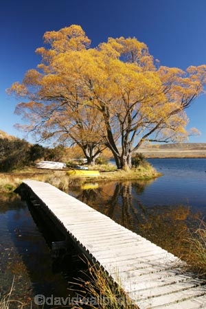 autumn;blue;boat;boats;bridge;bridges;calm;calmness;clean;clear;Daytime;dinghies;dinghy;dinghys;Exterior;fall;foot-bridge;foot-bridges;footbridge;footbridges;golden;high-country;idyllic;lake;lake-alexandrina;lakes;Leisure;mackenzie-country;Nature;new-zealand;Outdoor;Outdoors;Outside;Peaceful;Peacefulness;People;Person;Persons;pure;Quiet;Quietness;Recreation;Reflection;Reflections;row-boat;row-boats;scenery;Scenic;Scenics;season;seasonal;seasons;silence;south-island;tekapo;tranquil;tranquility;transparent;tree;trees;water;willow;willow-tree;willow-trees;willows;yellow