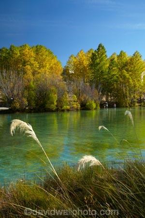 autuminal;-autumn;-autumn-colour;-autumn-colours;-autumnal;-calm;-Canterbury;-color;-colors;-colour;-colours;-deciduous;-fall;-gold;-golden;-leaf;-leaves;-Mackenzie-Country;-New-Zealand;-North-Otago;-NZ;-Ohau-River;-pampas-grass;-placid;-quiet;-reflected;-reflection;-reflections;-S.I.;-season;-seasonal;-seasons;-serene;-SI;-smooth;-South-Canterbury;-South-Is;-South-Island;-Sth-Is;-still;-toetoe;-toetoes;-tranquil;-tree;-trees;-Waitaki-District;-Waitaki-Region;-water;-willow;-willow-tree;-willow-trees;-willows;-yellow