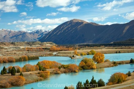 aqua;aquamarine;autuminal;autumn;autumn-colour;autumn-colours;autumnal;Ben-Ohau;Canterbury;color;colors;colour;colours;deciduous;fall;gold;golden;lake;Lake-Ruataniwha;lakes;leaf;leaves;Mackenzie-Country;Mackenzie-District;Mackenzie-Region;N.Z.;New-Zealand;North-Otago;NZ;Ohau-Ra;Ohau-Range;Otago;S.I.;season;seasonal;seasons;SI;South-Canterbury;South-Is;South-Island;Sth-Is;tree;trees;turquoise;willow;willow-tree;willow-trees;willows;yellow