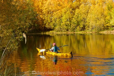 adventure;adventure-tourism;autuminal;autumn;autumn-colour;autumn-colours;autumnal;boat;boats;calm;canoe;canoeing;canoes;color;colors;colour;colours;deciduous;fall;gold;golden;kayak;kayaker;kayakers;kayaking;kayaks;Kelland-Pond;Kelland-Ponds;Kellands-Pond;Kellands-Ponds;lake;Lake-Ruataniwha;lakes;leaf;leaves;Mackenzie-Country;Mackenzie-District;Mackenzie-Region;model-released;MR;N.Z.;New-Zealand;North-Otago;NZ;Otago;paddle;paddler;paddlers;paddling;people;person;placid;pond;ponds;quiet;reflected;reflection;reflections;S.I.;sea-kayak;sea-kayaker;sea-kayakers;sea-kayaking;sea-kayaks;season;seasonal;seasons;serene;SI;smooth;South-Is;South-Island;Sth-Is;Sth-Is.;still;tourism;tourist;tourists;tranquil;tree;trees;Twizel;Waitaki-District;Waitaki-Region;water;yellow