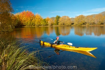 adventure;adventure-tourism;autuminal;autumn;autumn-colour;autumn-colours;autumnal;boat;boats;calm;canoe;canoeing;canoes;color;colors;colour;colours;deciduous;fall;gold;golden;kayak;kayaker;kayakers;kayaking;kayaks;Kelland-Pond;Kelland-Ponds;Kellands-Pond;Kellands-Ponds;lake;Lake-Ruataniwha;lakes;leaf;leaves;Mackenzie-Country;Mackenzie-District;Mackenzie-Region;model-released;MR;N.Z.;New-Zealand;North-Otago;NZ;Otago;paddle;paddler;paddlers;paddling;people;person;placid;pond;ponds;quiet;reflected;reflection;reflections;S.I.;sea-kayak;sea-kayaker;sea-kayakers;sea-kayaking;sea-kayaks;season;seasonal;seasons;serene;SI;smooth;South-Is;South-Island;Sth-Is;Sth-Is.;still;tourism;tourist;tourists;tranquil;tree;trees;Twizel;Waitaki-District;Waitaki-Region;water;yellow