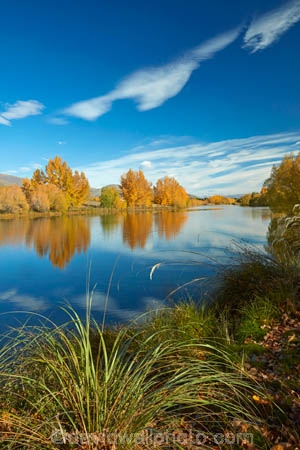 autuminal;autumn;autumn-colour;autumn-colours;autumnal;calm;color;colors;colour;colours;deciduous;fall;gold;golden;Kelland-Pond;Kelland-Ponds;Kellands-Pond;Kellands-Ponds;lake;Lake-Ruataniwha;lakes;leaf;leaves;Mackenzie-Country;Mackenzie-District;Mackenzie-Region;N.Z.;New-Zealand;North-Otago;NZ;Otago;placid;pond;ponds;quiet;reflected;reflection;reflections;S.I.;season;seasonal;seasons;serene;SI;smooth;South-Is;South-Island;Sth-Is;Sth-Is.;still;tranquil;tree;trees;Twizel;Waitaki-District;Waitaki-Region;water;yellow