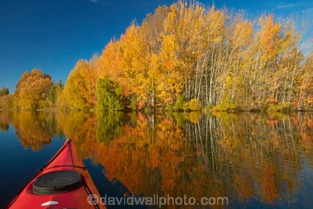 adventure;adventure-tourism;autuminal;autumn;autumn-colour;autumn-colours;autumnal;boat;boats;calm;canoe;canoeing;canoes;color;colors;colour;colours;deciduous;fall;gold;golden;kayak;kayaker;kayakers;kayaking;kayaks;Kelland-Pond;Kelland-Ponds;Kellands-Pond;Kellands-Ponds;lake;Lake-Ruataniwha;lakes;leaf;leaves;Mackenzie-Country;Mackenzie-District;Mackenzie-Region;N.Z.;New-Zealand;North-Otago;NZ;Otago;paddle;paddler;paddlers;paddling;people;person;placid;pond;ponds;quiet;reflected;reflection;reflections;S.I.;sea-kayak;sea-kayaker;sea-kayakers;sea-kayaking;sea-kayaks;season;seasonal;seasons;serene;SI;smooth;South-Is;South-Island;Sth-Is;Sth-Is.;still;tourism;tourist;tourists;tranquil;tree;trees;Twizel;Waitaki-District;Waitaki-Region;water;yellow