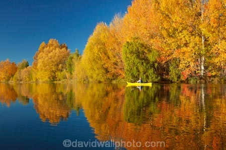 adventure;adventure-tourism;autuminal;autumn;autumn-colour;autumn-colours;autumnal;boat;boats;calm;canoe;canoeing;canoes;color;colors;colour;colours;deciduous;fall;gold;golden;kayak;kayaker;kayakers;kayaking;kayaks;Kelland-Pond;Kelland-Ponds;Kellands-Pond;Kellands-Ponds;lake;Lake-Ruataniwha;lakes;leaf;leaves;Mackenzie-Country;Mackenzie-District;Mackenzie-Region;model-released;MR;N.Z.;New-Zealand;North-Otago;NZ;Otago;paddle;paddler;paddlers;paddling;people;person;placid;pond;ponds;quiet;reflected;reflection;reflections;S.I.;sea-kayak;sea-kayaker;sea-kayakers;sea-kayaking;sea-kayaks;season;seasonal;seasons;serene;SI;smooth;South-Is;South-Island;Sth-Is;Sth-Is.;still;tourism;tourist;tourists;tranquil;tree;trees;Twizel;Waitaki-District;Waitaki-Region;water;yellow