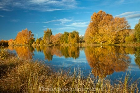 autuminal;autumn;autumn-colour;autumn-colours;autumnal;calm;color;colors;colour;colours;deciduous;fall;gold;golden;Kelland-Pond;Kelland-Ponds;Kellands-Pond;Kellands-Ponds;lake;Lake-Ruataniwha;lakes;leaf;leaves;Mackenzie-Country;Mackenzie-District;Mackenzie-Region;N.Z.;New-Zealand;North-Otago;NZ;Otago;placid;pond;ponds;quiet;reflected;reflection;reflections;S.I.;season;seasonal;seasons;serene;SI;smooth;South-Is;South-Island;Sth-Is;Sth-Is.;still;tranquil;tree;trees;Twizel;Waitaki-District;Waitaki-Region;water;yellow