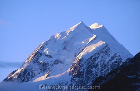 aoraki;aoraki-mt.-cook;canterbury;color;colors;colour;colours;high;highest;icon;jagged;landmark;main-divide;morning;mount-cook;mountain;mountains;mt-cook;mt.-cook;new-zealand;peak;peaks;ridge;ridgeline;snow;snow-cap;snow-capped;snow-line;snow_covered;snow_line;southern-alps;summit;summits;white