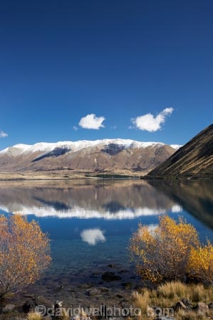 autuminal;autumn;autumn-colour;autumn-colours;autumnal;Ben-Ohau;calm;color;colors;colour;colours;deciduous;fall;lake;Lake-Oahu;lakes;Mackenzie-Country;Mackenzie-District;Mckenzie-Country;Mckenzie-District;N.Z.;New-Zealand;NZ;Ohau-Range;placid;quiet;reflection;reflections;S.I.;season;seasonal;seasons;serene;SI;smooth;South-Canterbury;South-Island;still;tranquil;tree;trees;water;williow;willow-tree;willow-trees;willows