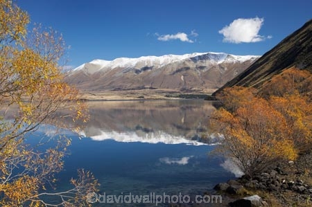 autuminal;autumn;autumn-colour;autumn-colours;autumnal;Ben-Ohau;calm;color;colors;colour;colours;deciduous;fall;lake;Lake-Oahu;lakes;Mackenzie-Country;Mackenzie-District;Mckenzie-Country;Mckenzie-District;N.Z.;New-Zealand;NZ;Ohau-Range;placid;quiet;reflection;reflections;S.I.;season;seasonal;seasons;serene;SI;smooth;South-Canterbury;South-Island;still;tranquil;tree;trees;water;williow;willow-tree;willow-trees;willows