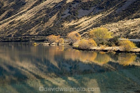 autuminal;autumn;autumn-colour;autumn-colours;autumnal;Ben-Ohau;calm;color;colors;colour;colours;deciduous;fall;lake;Lake-Oahu;lakes;Mackenzie-Country;Mackenzie-District;Mckenzie-Country;Mckenzie-District;N.Z.;New-Zealand;NZ;placid;quiet;reflection;reflections;S.I.;season;seasonal;seasons;serene;SI;smooth;South-Canterbury;South-Island;still;tranquil;tree;trees;water;williow;willow-tree;willow-trees;willows