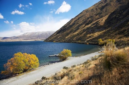 autuminal;autumn;autumn-colour;autumn-colours;autumnal;Ben-Ohau;color;colors;colour;colours;deciduous;fall;lake;Lake-Oahu;lakes;Mackenzie-Country;Mackenzie-District;Mckenzie-Country;Mckenzie-District;N.Z.;New-Zealand;NZ;S.I.;season;seasonal;seasons;SI;South-Canterbury;South-Island;tree;trees;williow;willow-tree;willow-trees;willows