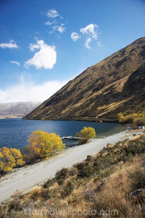 autuminal;autumn;autumn-colour;autumn-colours;autumnal;Ben-Ohau;color;colors;colour;colours;deciduous;fall;lake;Lake-Oahu;lakes;Mackenzie-Country;Mackenzie-District;Mckenzie-Country;Mckenzie-District;N.Z.;New-Zealand;NZ;S.I.;season;seasonal;seasons;SI;South-Canterbury;South-Island;tree;trees;williow;willow-tree;willow-trees;willows