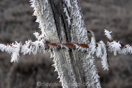 barb-wire;barbed-wire;cold;fence;fences;freeze;freezes;frost;frosted;frosty;frozen;hoar;hoar-frost;ice;icy;Mackenzie-Country;New-Zealand;season;seasonal;seasons;South-Island;Twizel;winter;wintry;wire;wires