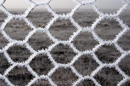 chicken-wire;cold;fence;fences;freeze;freezes;frost;frosted;frosty;frozen;hexagon;hexagonal;hoar;hoar-frost;ice;icy;Mackenzie-Country;netting;New-Zealand;season;seasonal;seasons;South-Island;Twizel;winter;wintry;wire;wire-net;wire-netting;wires