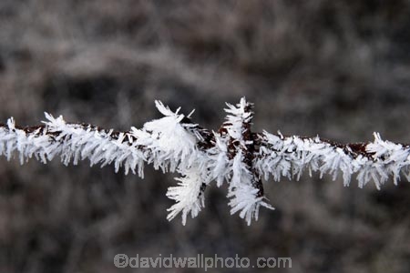 barb-wire;barbed-wire;cold;fence;fences;freeze;freezes;frost;frosted;frosty;frozen;hoar;hoar-frost;ice;icy;Mackenzie-Country;New-Zealand;season;seasonal;seasons;South-Island;Twizel;winter;wintry;wire;wires