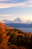 mountain;peak;mount-cook;color;colours;colors;trees;forest;snow;snow-covered;snow_covered;orange;autumnal;lake;lakes;slope;scenic;scenary;tourism;natural;spectacular;beauty;highest;mountains;southern-alps;main-divide