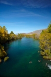 autuminal;-autumn;-autumn-colour;-autumn-colours;-autumnal;-Canterbury;-color;-colors;-colour;-colours;-deciduous;-fall;-gold;-golden;-leaf;-leaves;-Mackenzie-Country;-New-Zealand;-North-Otago;-NZ;-Ohau-River;-S.I.;-season;-seasonal;-seasons;-SI;-South-Canterbury;-South-Is;-South-Island;-Sth-Is;-Swimmer;-Swimmers;-tree;-trees;-Waitaki-District;-Waitaki-Region;-willow;-willow-tree;-willow-trees;-willows;-yellow