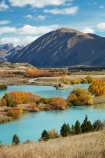 aqua;aquamarine;autuminal;autumn;autumn-colour;autumn-colours;autumnal;Ben-Ohau;Canterbury;color;colors;colour;colours;deciduous;fall;gold;golden;lake;Lake-Ruataniwha;lakes;leaf;leaves;Mackenzie-Country;Mackenzie-District;Mackenzie-Region;N.Z.;New-Zealand;North-Otago;NZ;Ohau-Ra;Ohau-Range;Otago;S.I.;season;seasonal;seasons;SI;South-Canterbury;South-Is;South-Island;Sth-Is;tree;trees;turquoise;willow;willow-tree;willow-trees;willows;yellow