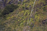 Aoraki-Mt-Cook-National-Park;Ben-Ohau-Range;Canterbury;cascade;cascades;creek;creeks;falls;Mackenzie-Country;N.Z.;natural;nature;New-Zealand;NZ;scene;scenic;SI;South-Canterbury;South-Island;stream;streams;water;water-fall;water-falls;waterfall;waterfalls;wet