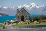 Ajax;alp;alpine;alps;altitude;building;buildings;Canterbury;christian;christianity;church;Church-of-the-Good-Shepherd;churches;faith;heritage;high-altitude;historic;historic-building;historic-buildings;historical;historical-building;historical-buildings;history;lake;Lake-Tekapo;lakes;Mackenzie-Country;main-divide;mount;Mount-Ajax;Mount-Chevalier;Mount-Ross;mountain;mountain-peak;mountainous;mountains;mountainside;mt;Mt-Ajax;Mt-Chevalier;Mt-Ross;mt.;Mt.-Ajax;Mt.-Chevalier;Mt.-Ross;N.Z.;New-Zealand;NZ;old;peak;peaks;place-of-worship;places-of-worship;range;ranges;religion;religions;religious;S.I.;SI;Sibbald-Range;snow;snow-capped;snow_capped;snowcapped;snowy;South-Canterbury;South-Is.;South-Island;southern-alps;summit;summits;Tekapo;The-Church-of-the-Good-Shepherd;tradition;traditional;Two-Thumb-Range