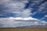 agricultural;agriculture;altocumulus-lenticularis;Benmore-Range;big-sky;Canterbury;cloud;clouds;country;countryside;farm;farming;farmland;farms;field;fields;lens-shaped-cloud;lens-shaped-clouds;lenticular-cloud;lenticular-clouds;lenticularis-cloud;lenticularis-clouds;Mackenzie-Country;Mackenzie-District;meadow;meadows;N.Z.;New-Zealand;NZ;paddock;paddocks;pasture;pastures;rural;S.I.;SI;skies;sky;South-Canterbury;South-Is.;South-Island