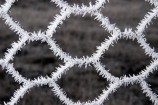 chicken-wire;cold;fence;fences;freeze;freezes;frost;frosted;frosty;frozen;hexagon;hexagonal;hoar;hoar-frost;ice;icy;Mackenzie-Country;netting;New-Zealand;season;seasonal;seasons;South-Island;Twizel;winter;wintry;wire;wire-net;wire-netting;wires