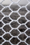chicken-wire;cold;fence;fences;freeze;freezes;frost;frosted;frosty;frozen;hexagon;hexagonal;hoar;hoar-frost;ice;icy;Mackenzie-Country;netting;New-Zealand;season;seasonal;seasons;South-Island;Twizel;winter;wintry;wire;wire-net;wire-netting;wires