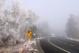 car;cold;dangerous;drive;driving-conditions;freeze;freezes;frost;frosted;frosty;frozen;grass;hoar;hoar-frost;ice;icy;leaf;leaves;Mackenzie-Country;New-Zealand;plant;road;roads;season;seasonal;seasons;seed-head;sign;signs;slippery;South-Island;transport;transportation;travel;traveling;travelling;tree;trees;trip;Twizel;warning;warning-warnings;winter;winter-driving;wintery;wintry;yellow